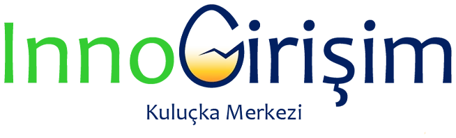 InnoGirişim logosu